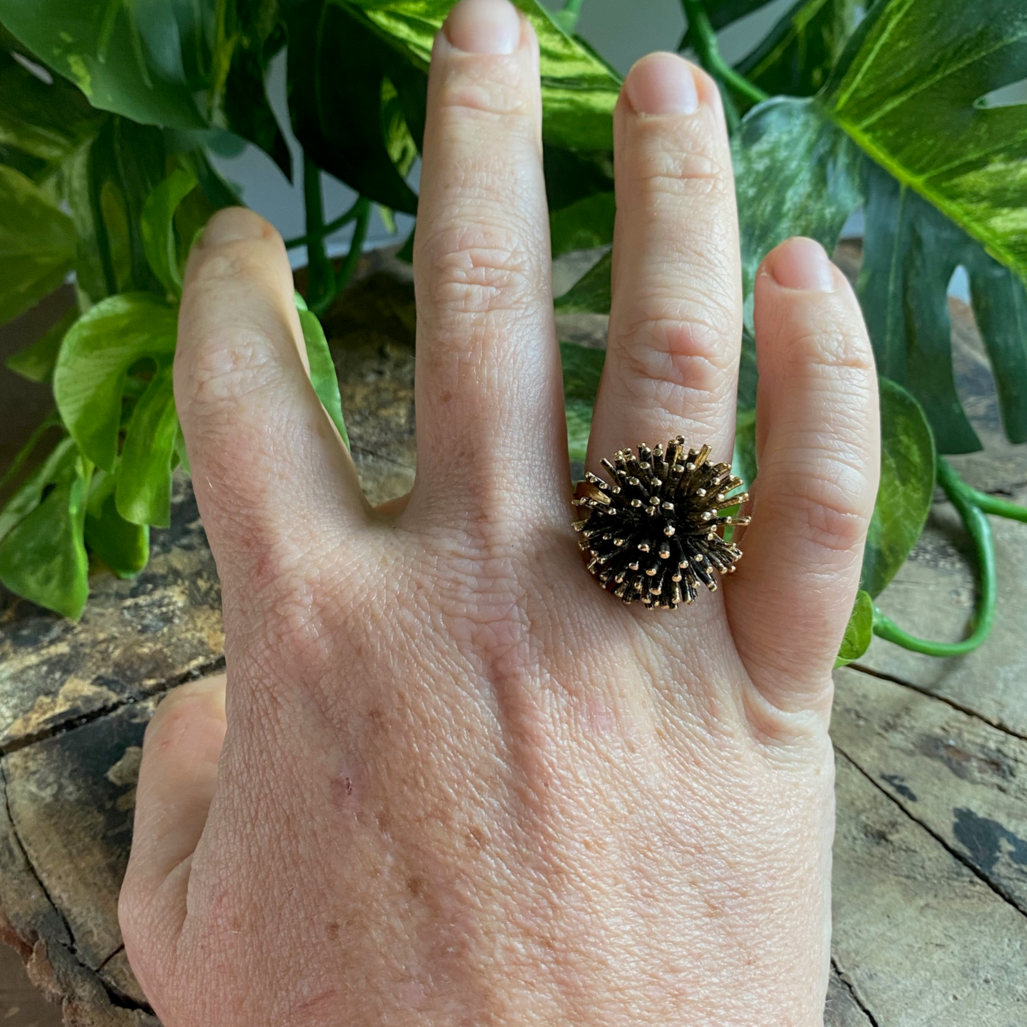 Atomic Ring