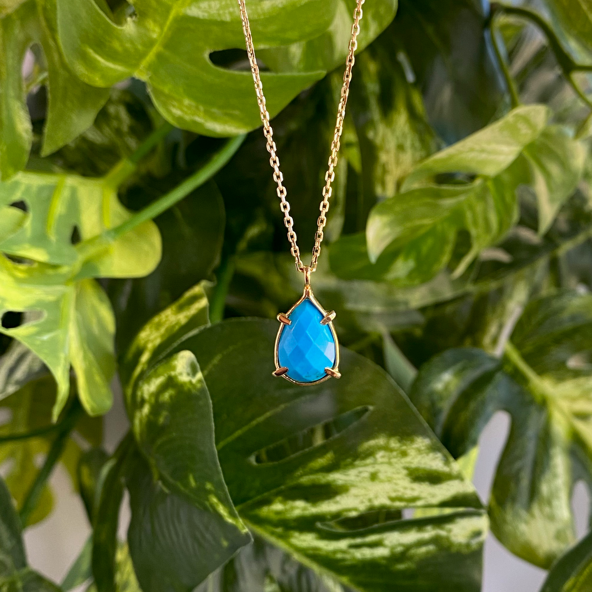 Venus Necklace